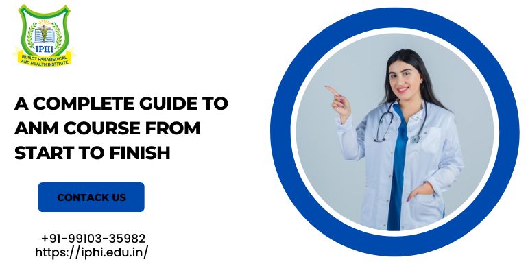 IA Complete Guide to Anm Course from Start to Finish